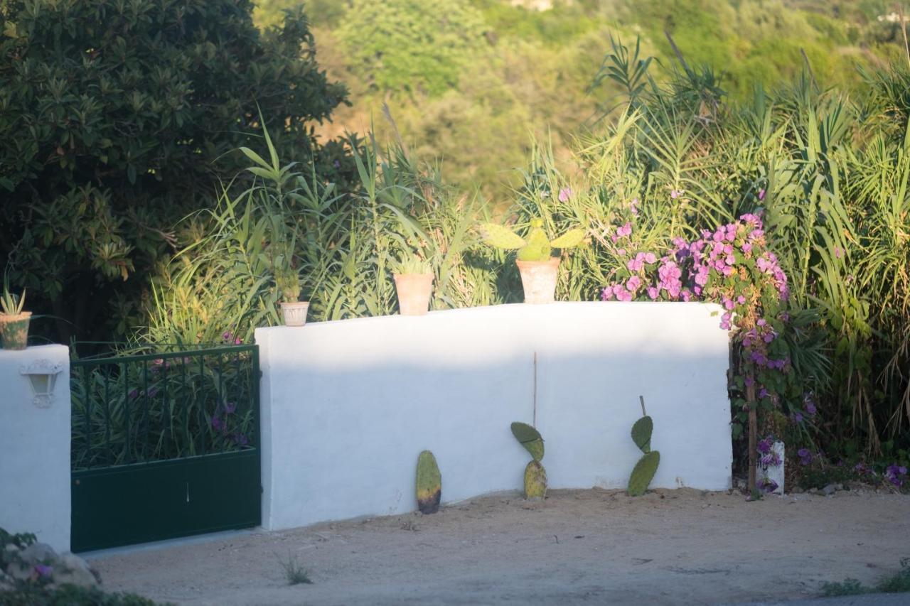 Casa Da Cabeca Ξενοδοχείο Azinheiro Εξωτερικό φωτογραφία