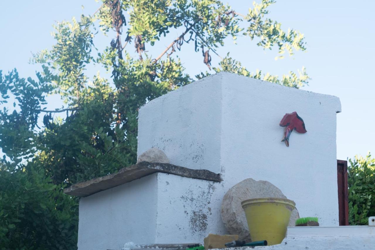 Casa Da Cabeca Ξενοδοχείο Azinheiro Εξωτερικό φωτογραφία